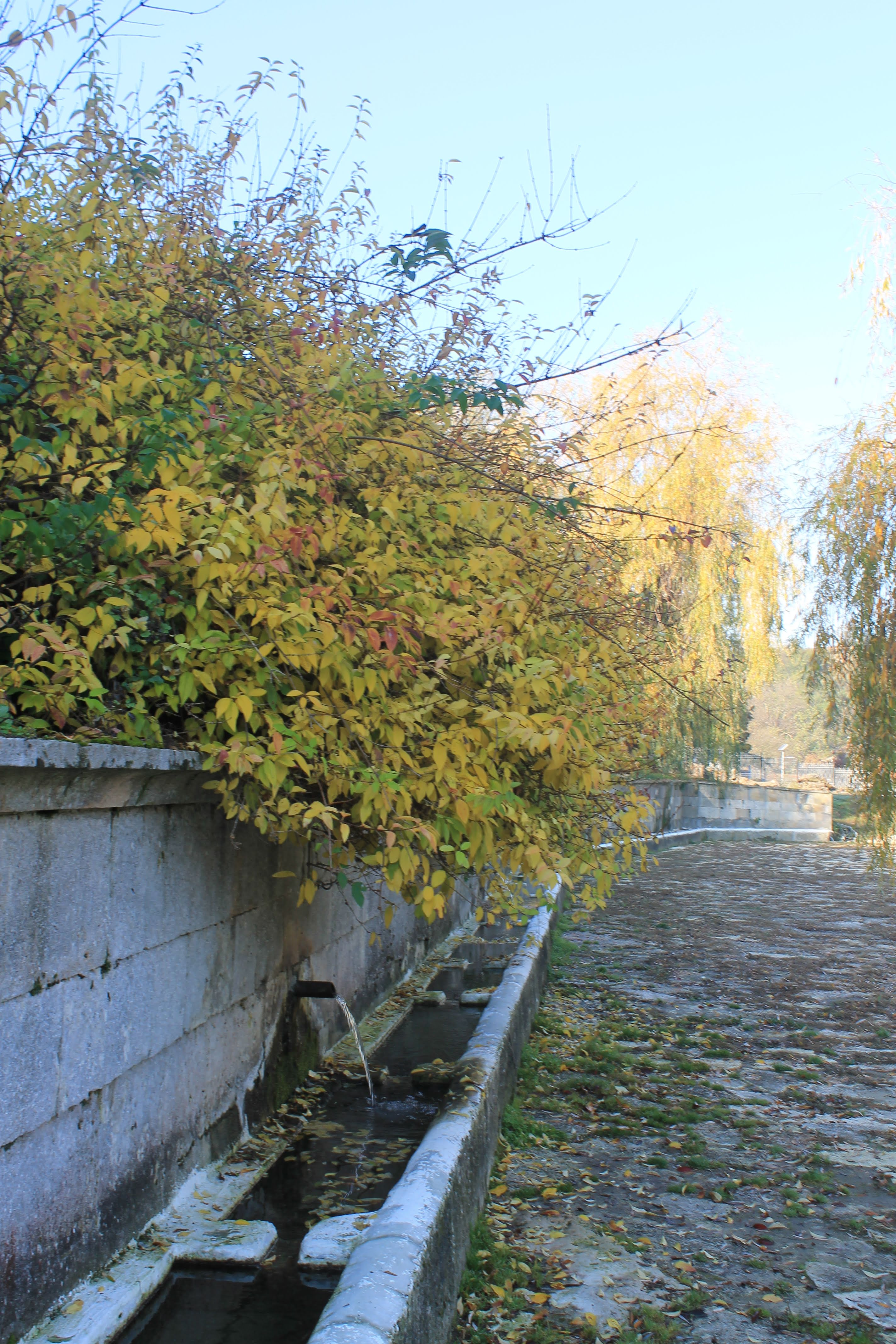 чешма 2 1