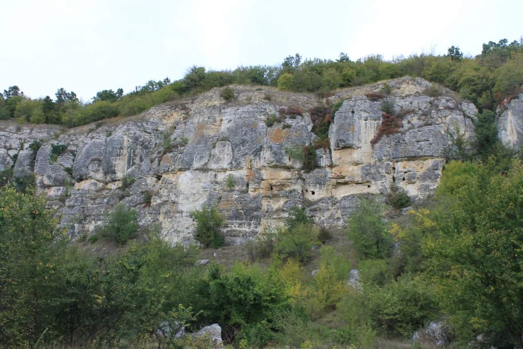 скалите 1